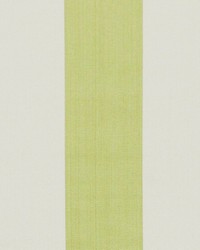 Coastline Kiwi by  Wesco 