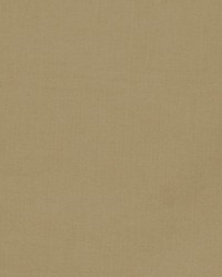 Puget Sound Putty by   