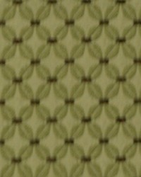 Connect The Dots Moss by   