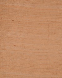 Calcutta Cinnamon by   