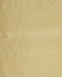 Calcutta Goldenrod by   