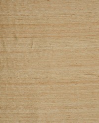 Kasem Fawn by  RM Coco 