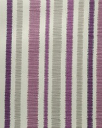 Different Strokes Purple by   