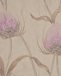 A0360 Boysenberry by  RM Coco 