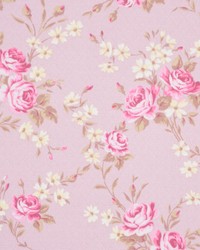 A0373 Pink Champagne by   