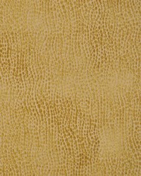 A0380 Lime by  RM Coco 