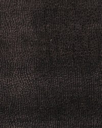 A0380 Otter by  RM Coco 