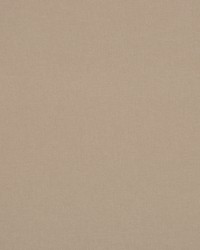 A0403 Putty by  RM Coco 