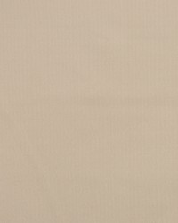 A0412 Latte by  RM Coco 