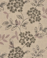 A0458 Cindersmoke by   