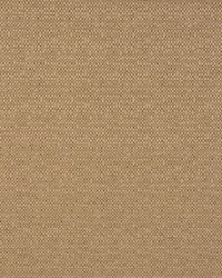 A0459 Truffle by  RM Coco 