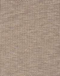 A0462 Tortoise Shell by  RM Coco 