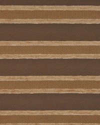 A0479 Cola by  RM Coco 