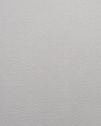 A0482 Ivory by  Zimmer and Rohde 