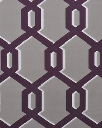 A0486 Black Currant by  Zimmer and Rohde 