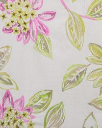 A0491 Moss by  Zimmer and Rohde 