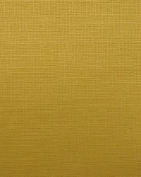 A0497 Zest by  RM Coco 