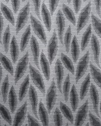 A0502 Graphite by  RM Coco 