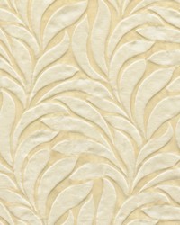 Affirmations Cream by   