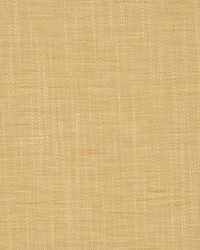 Amplitude Marigold by   