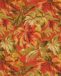 Baron Cardinal by  RM Coco 