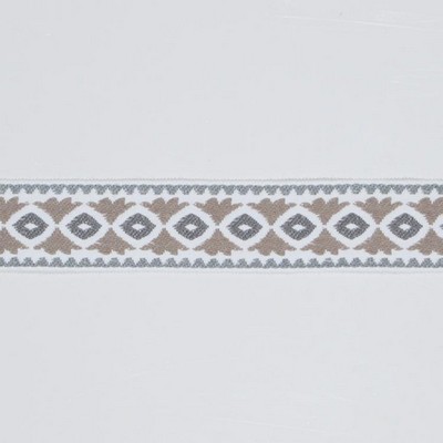 RM Coco Trim Bd102 Border 3 in  Sterling in Bahama Breeze Silver ACRYLIC  Trim Border Outdoor Trims and Embellishments  Fabric