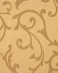 Braveheart Golden by   