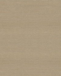 Belgique Driftwood by   