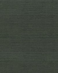 Belgique Evergreen by   