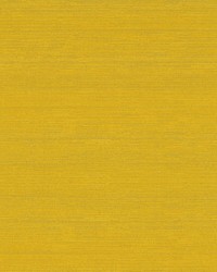 Belgique Mustard Seed by   