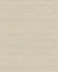 Belgique Travertine by   