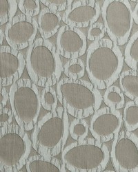 Bellerive Fungi by  RM Coco 