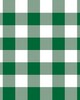 RM Coco Big Sky Check Emerald