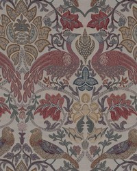 Biltmore Garden Vineyard by  Bailey and Griffin 