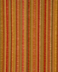 Casablanca Ginger by   