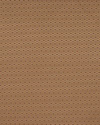 Clapton Chocolate by   