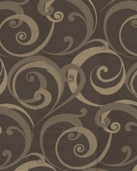 Communication Dark Brown by   