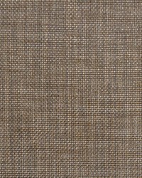 Content Dove by  RM Coco 