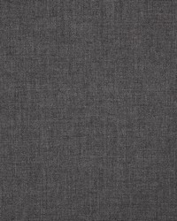 Cast - Sunbrella Charcoal 40483-0001 by  RM Coco 