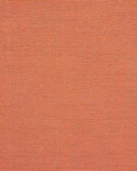 Cast - Sunbrella Coral 48108-0000 by  RM Coco 