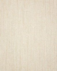 Cast - Sunbrella Pumice 48114-0000 by  RM Coco 