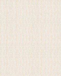 ColorWorks DL111 Seagrass by   