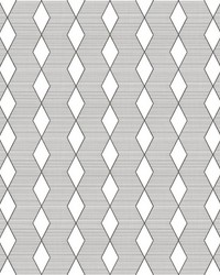 ColorWorks DL118 B&W by   