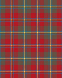 ColorWorks DL120 Tartan by   