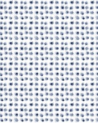 ColorWorks DL128 Indigo by   