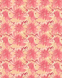 ColorWorks DL143 Just Peachy by   