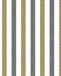 ColorWorks DL152 Black Walnut by   