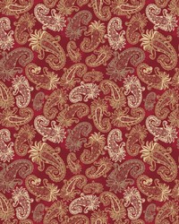 ColorWorks DL160 Spice by   