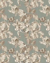 ColorWorks DL162 Driftwood by   