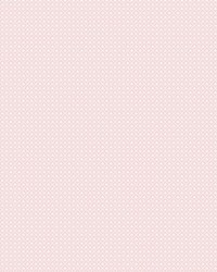 ColorWorks DL166 Blush Pink by   